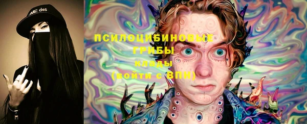 прущая мука Армянск