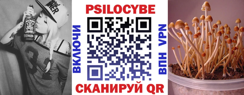 Галлюциногенные грибы мицелий  Великий Устюг 